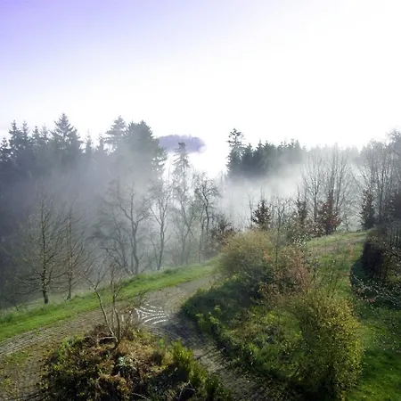 Idyllische Auszeit Am Waldrand Apartment Sulzbach-Laufen
